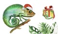 Christmas time chameleon on a branch watercolor illustration