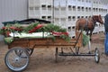 Christmas Time Horse-drawn Wagon