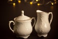 It is Christmas time, when we put beautiful porcelain dishes on the table and turn on the lights. Sugar bowl and coffee creamer