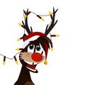 Christmas time with Reindeer Rudolf.