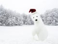 Christmas time. White bear in snowy field Royalty Free Stock Photo