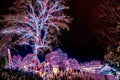 Christmas time winterfest celebration at carowinds amusement park in carolinas Royalty Free Stock Photo