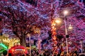 Christmas time winterfest celebration at carowinds amusement park in carolinas Royalty Free Stock Photo