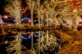 Christmas time winterfest celebration at carowinds amusement park in carolinas Royalty Free Stock Photo