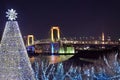 Christmas in Tokyo Royalty Free Stock Photo