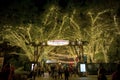 Christmas Town, Busch Gardens At Night