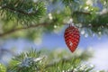 Christmas toy on the branch