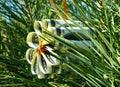 Christmas toy flower made of dollar bills on the branch of spruce