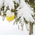 Christmas toy with icicle covered with snow hanging on spruce Royalty Free Stock Photo