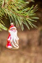 Christmas toy red Santa Claus on a natural branch with pine tree needles in the snow background. Concept for New Year, Christmas Royalty Free Stock Photo