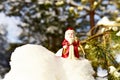 Christmas toy Santa Claus on branch with pine tree needles in the snow. Christmas balls decoration. oncept of preparing for the Royalty Free Stock Photo