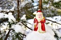 Christmas toy Santa Claus on branch with pine tree needles in the snow. Christmas balls decoration. oncept of preparing for the Royalty Free Stock Photo