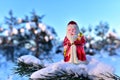 Christmas toy Santa Claus on branch with pine tree needles in the snow. Christmas balls decoration. oncept of preparing for the Royalty Free Stock Photo