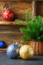 Christmas toys. Colorful balls and Christmas tree branch in basket. The vintage style Royalty Free Stock Photo