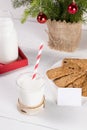 Christmas tradition image. Milk for Santa, cookies, spruce branches on white table.