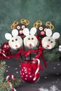 Christmas treats - cake pops Rabbits and Santa reindeers from cookies in chocolate, coconut flakes, marshmallows and Royalty Free Stock Photo