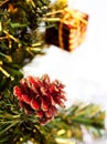 Christmas tree Royalty Free Stock Photo