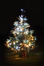 Christmas tree Royalty Free Stock Photo