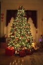 Christmas Tree Royalty Free Stock Photo