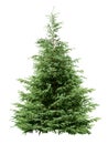 Christmas tree Royalty Free Stock Photo