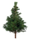 Christmas tree Royalty Free Stock Photo