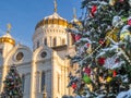 Christmas tree against the backdrop of the Cathedral of Christ the Savior