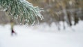 Christmas Tree Against Background Natural Snow Falling With Ligh Royalty Free Stock Photo