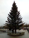 Christmas tree in Amsterdam