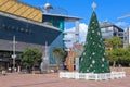 Christmas tree in Aotea Square, Auckland, New Zealand