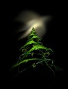 Christmas Tree Aurora Royalty Free Stock Photo