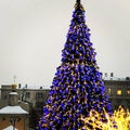 Christmas tree on the background of the city Royalty Free Stock Photo