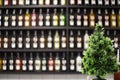 Christmas tree on the background of rows of liquor bottles in the bar. Royalty Free Stock Photo