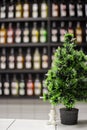 Christmas tree on the background of rows of liquor bottles in the bar. Royalty Free Stock Photo