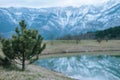 NChristmas tree on the background of snow-capped mountains and a lake with reflection.n