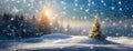 Christmas tree background in winter snowy coniferous forest with fairy landscape. Happy New Year panorama. Sunny weather