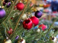 Christmas tree  balls and  Pine cones  on  Christmas tree fir branches red green blue colored decoration and white snowflakes  , Royalty Free Stock Photo