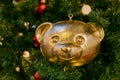 Christmas tree bauble in shape of golden teddy bear pn a fur tree. Festive greeting card for winter holidays. Royalty Free Stock Photo