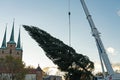 Christmas tree being lifted by crane for the christmas market 2023 in Erfurt at cathedral square