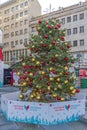 Christmas Tree Belgrade Winter