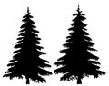 Christmas tree black silhouette, on a white background, isolated Royalty Free Stock Photo