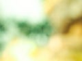 Christmas tree blur abstract background. Green gold Royalty Free Stock Photo