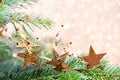 Christmas tree the bokeh background. Christmas greeting card backgrounds Royalty Free Stock Photo