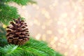 Christmas tree the bokeh background. Christmas greeting card backgrounds Royalty Free Stock Photo