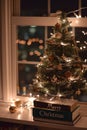 Christmas Tree with books beneath it.