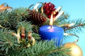 Christmas mood spruce branches and toys on a blue background Royalty Free Stock Photo