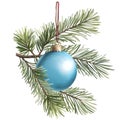Christmas tree branch with blue ball. Holiday card with glass ball on fir branches isolated on white background Royalty Free Stock Photo