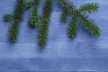 Christmas tree branch on blue wood table Royalty Free Stock Photo
