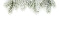 Christmas tree branch border. Winter evergreen fir twig isolated on white