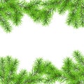 Christmas tree branch for decorate Royalty Free Stock Photo