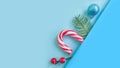 Christmas tree branch, decorate candies a colored background Royalty Free Stock Photo
